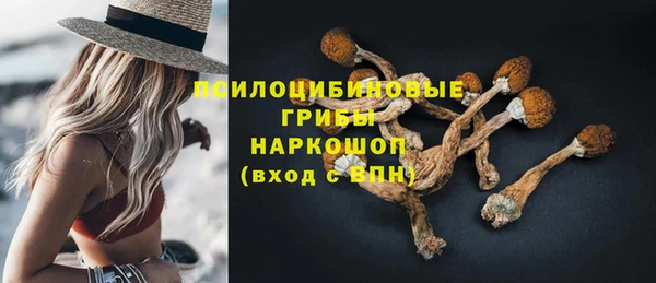 мяу мяу кристалл Богданович