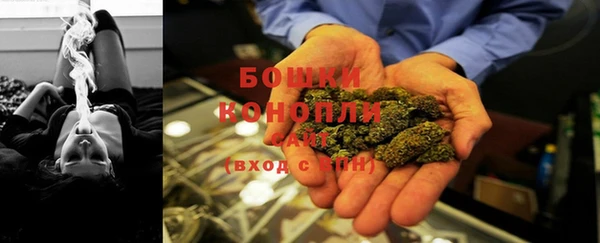 apvp Богородск