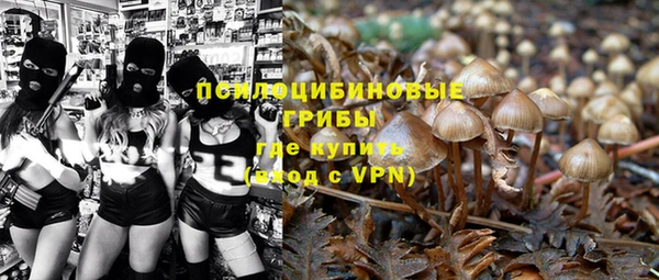 мяу мяу кристалл Богданович