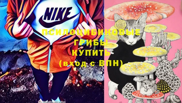 мефедрон Богородицк