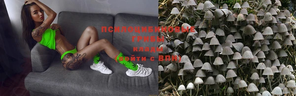 apvp Богородск