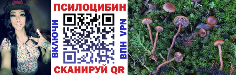Галлюциногенные грибы прущие грибы Дагестанские Огни